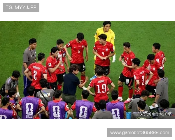 南非对韩国半场比分结果对比赛最终走势的影响分析